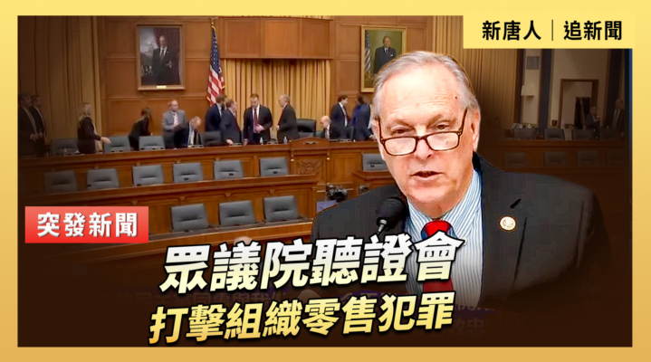 【直播】眾議院聽證會：打擊組織零售犯罪