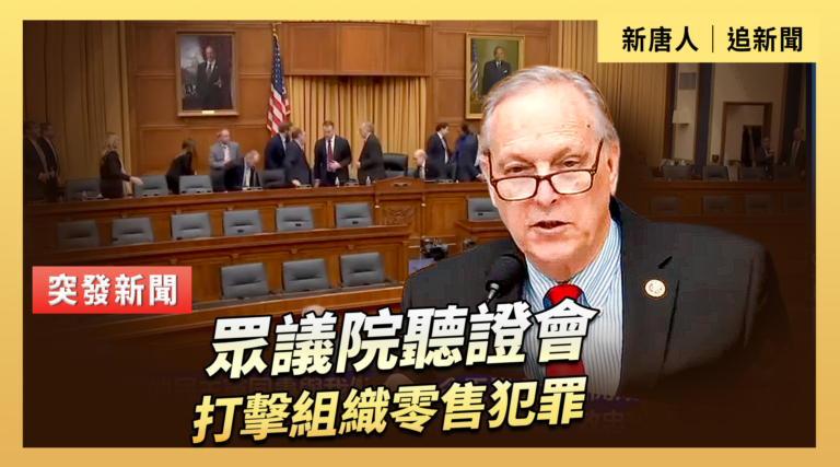 【直播】眾議院聽證會:打擊組織零售犯罪