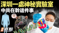 【新聞直擊】深圳一處神祕實驗室 中共祕密打造高端芯片機器