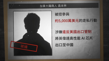 涉嫌走私高端芯片至中国 美国逮捕加籍华人