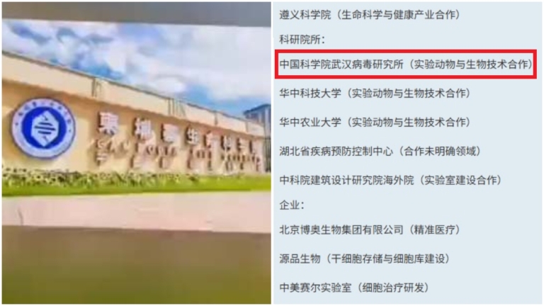 柬埔寨生命科學院與武漢病毒所合作 網評：細思極恐