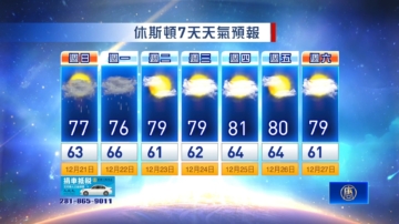 休斯頓天氣預報（12月21日至27日）