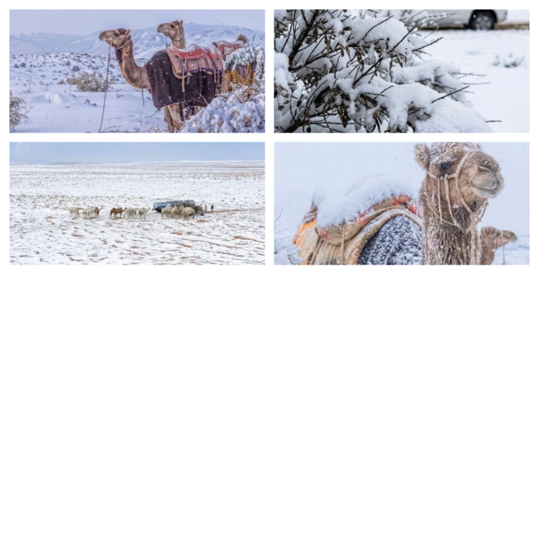 沙特阿拉伯下雪了！沙漠被白雪覆蓋 專家說不罕見