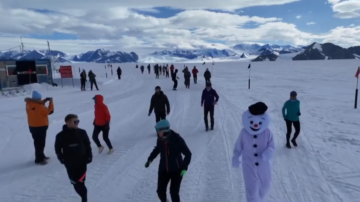 史無前例！南極舉辦倒跑比賽 企鵝竟得獎