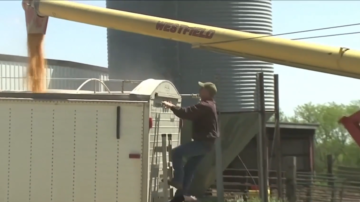 【財經簡訊】中共購買時間表不確定 黃豆小幅回升