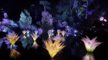 舊金山現「光影奇境」金門公園百萬燈海映夜色