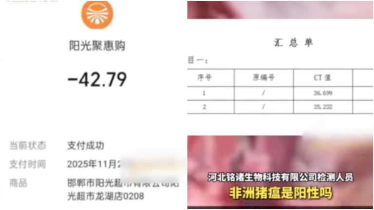 邯鄲通報「非洲豬瘟」檢測為陰性 消費者否認被取樣