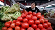 【兩岸掃描】中國西紅柿價格暴漲 多地「雞蛋配不上西紅柿」