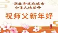 湖北法輪功學員恭祝李洪志大師新年好(113條)
