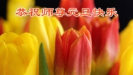 哈爾濱法輪功學員恭祝李洪志大師新年好(106條)