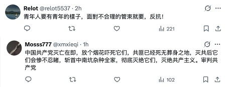 跨年夜中共如臨大敵 有人放煙花慶祝遭追捕（視頻）