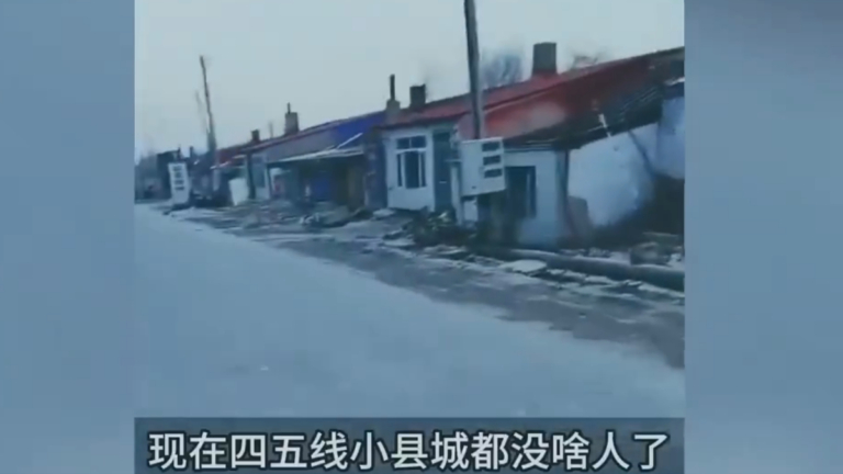 全家年入僅兩三萬 東北司機曝鷄西市慘狀（視頻）