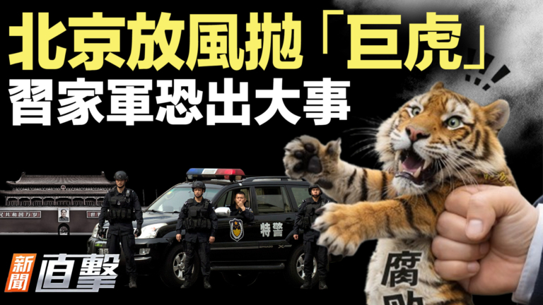 【新聞直擊】北京放風拋「巨虎」? 習家軍恐出大事