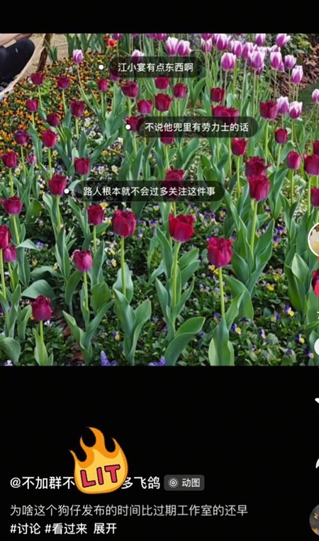 于朦朧墜亡「時間點」現各種詭異 更多細節流出（視頻）