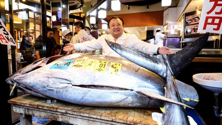日本豐洲市場新春黑鮪魚競標 創5.1億日圓破紀錄天價