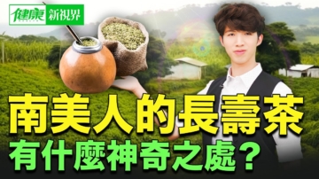 【健康新視界】南美人的長壽茶「馬黛茶」