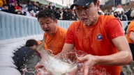 體驗嚴寒的樂趣 韓國2026華川山鱒魚慶典開幕