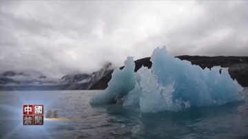 【中國禁聞】1月13日完整版