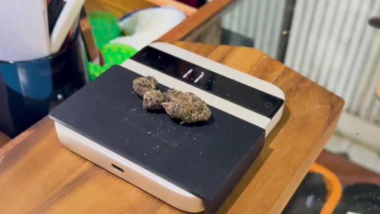 德州出台全新大麻監管條例 最快1月25日生效