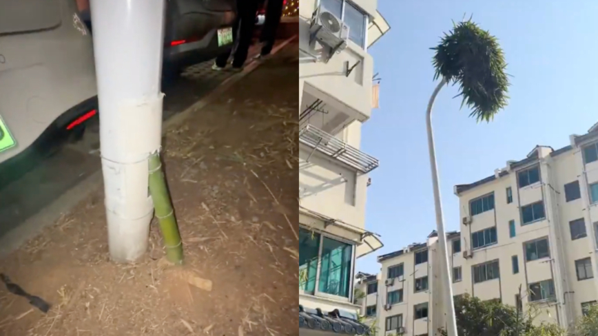 �㽭���֡����ǿ�� ��͸·��һ·���� ����Χ��