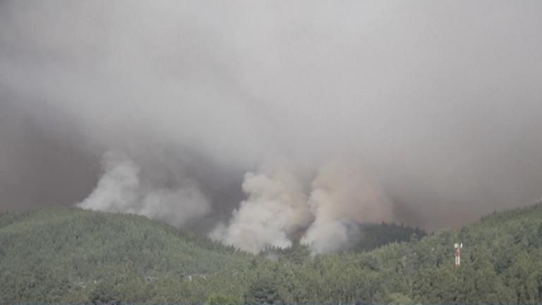 智利進入災難狀態 全國山火蔓延18人死亡