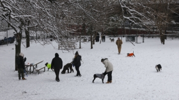 大雪覆蓋紐約長週末 華人民眾減少出行應對