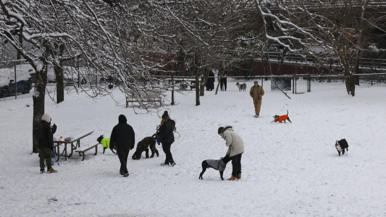 大雪覆蓋紐約長週末 華人民眾減少出行應對