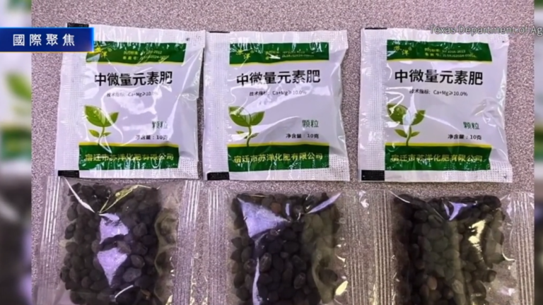 【國際聚焦】德州居民報告：寄自中國神祕種子數量激增
