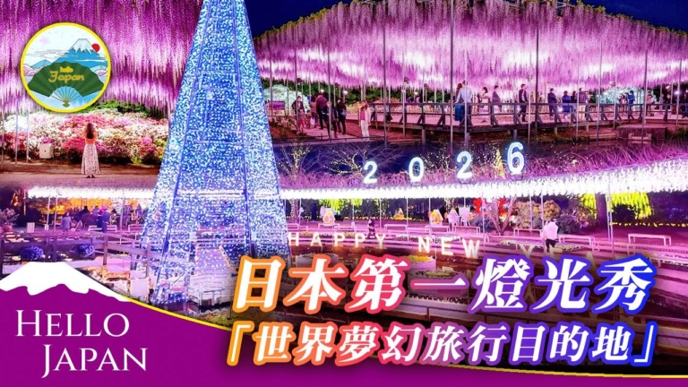 【你好日本】日本第一燈光秀