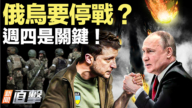 【威廉希尔体育官网直击】俄乌要停战?周四是关键!