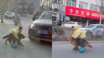 小男孩騎德牧飛馳超車 引熱議：德系新能源（視頻）