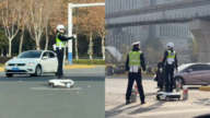 安徽机器人交警红绿灯下执勤 引发嘲讽（视频）