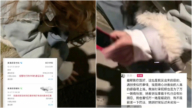 新騙局？江蘇女想幫路邊哭泣女孩 被求親自送回家（視頻）
