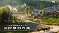 第五屆新唐人攝影大賽開幕 186幅作品入圍