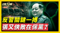 【威廉希尔体育官网第一线】反习关键一博 张又侠败在保党？