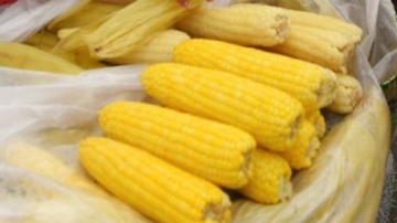 巴西度假遭電子支付詐騙 水煮玉米價漲千倍