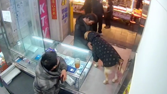 流浪漢給小狗10元買肉吃：它不嫌棄我（視頻）