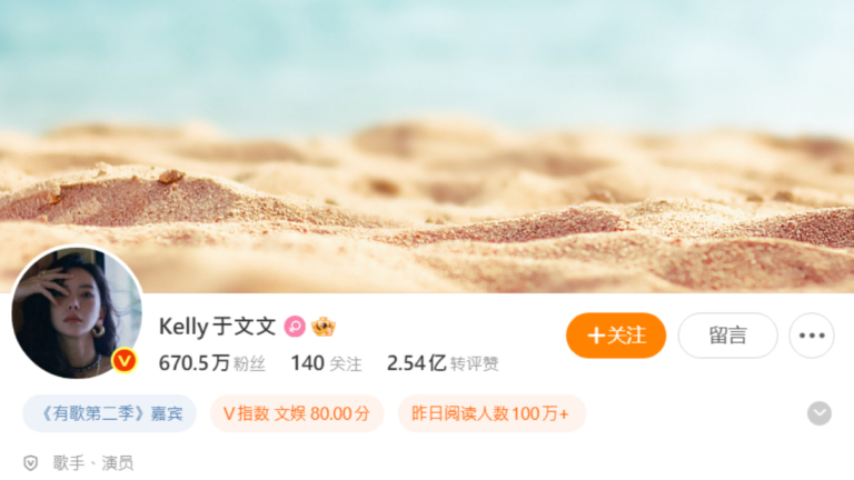 女歌手于文文貴州演唱會突然暈倒昏迷(視頻)