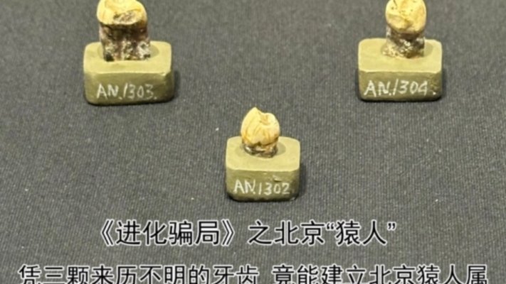 進化騙局(7) 北京「猿人」的高超騙術