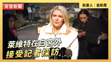【直播】莱维特在白宫外接受记者采访
