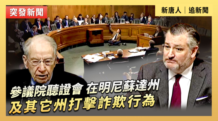 【直播】參議院聽證會：在明尼蘇達州及其它州打擊詐欺行為