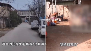 疑因一條評論 河南21歲男殘忍殺害孕婦和老人