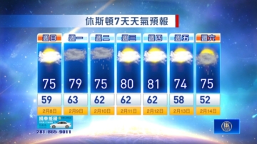 休斯顿天气预报（2月8日至14日）