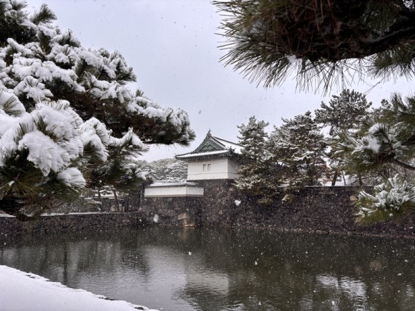 日本海沿岸現大雪警報 東京選民冒雪赴投票所（組圖）