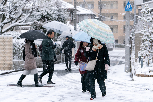 日本海沿岸現大雪警報 東京選民冒雪赴投票所（組圖）