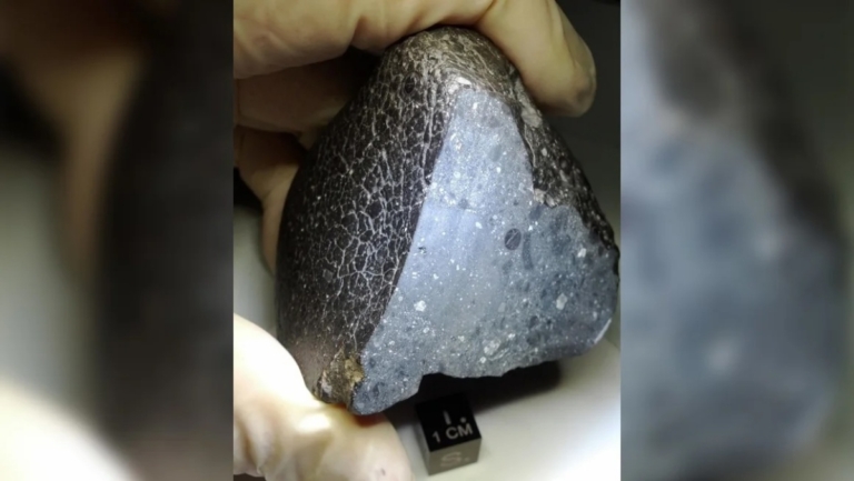 「黑美人」隕石揭火星含水量超預期 刷新認知