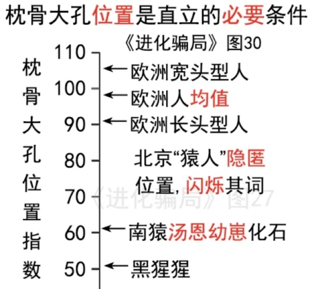 進化騙局(8) 九問「北京猿人」(上)