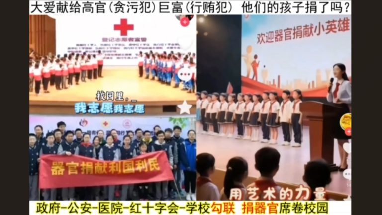 同根：百姓孩 器官崽（上）