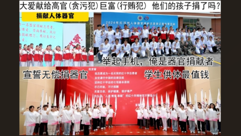 同根：百姓孩 器官崽（下）