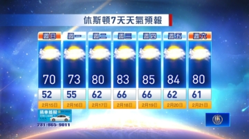 休斯顿天气预报（2月15日至21日）